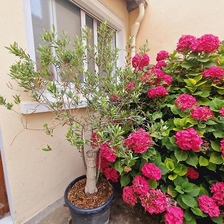 Studio Coeur Des Sables, 100M De La Plage Les Sables-d'Olonne Ngoại thất bức ảnh